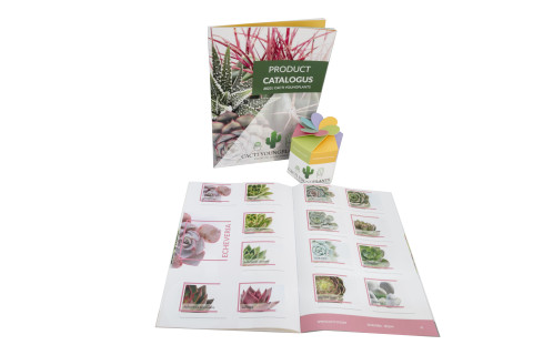 Cacti